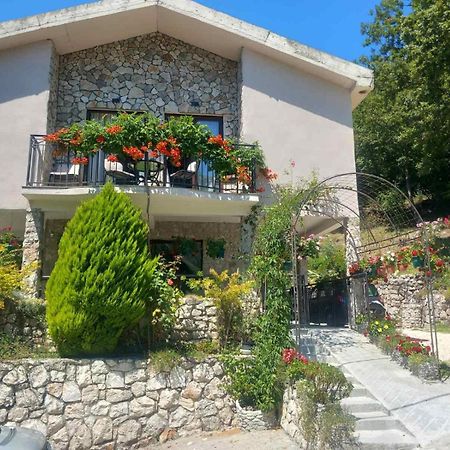 Apartmán Dado Virpazar Exteriér fotografie