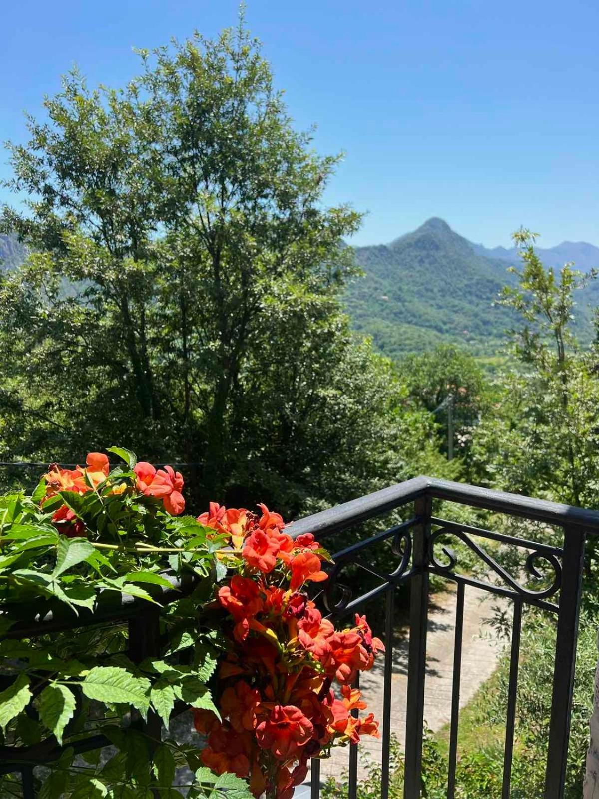 Apartmán Dado Virpazar Exteriér fotografie